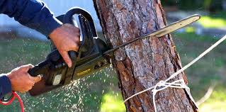 Best Commercial Tree Services  in Crooks, SD